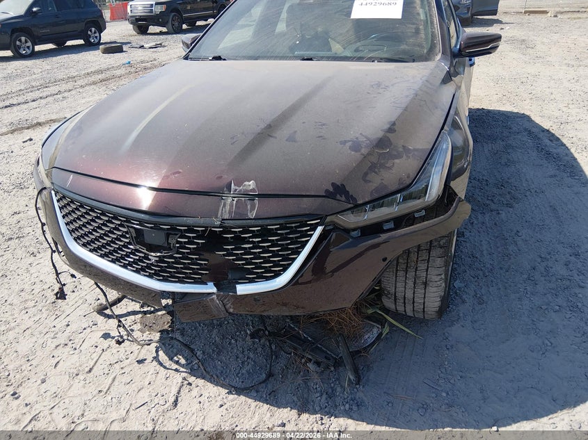 2021 Cadillac Ct5 Premium Luxury VIN: 1G6DN5RW8M0143441 Lot: 44929689
