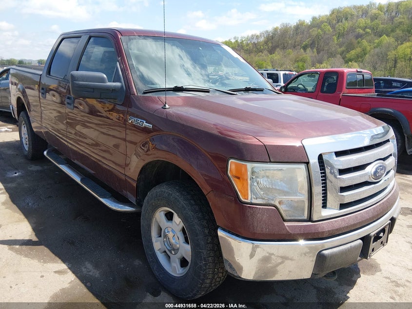 2010 Ford F-150 Xl/Xlt