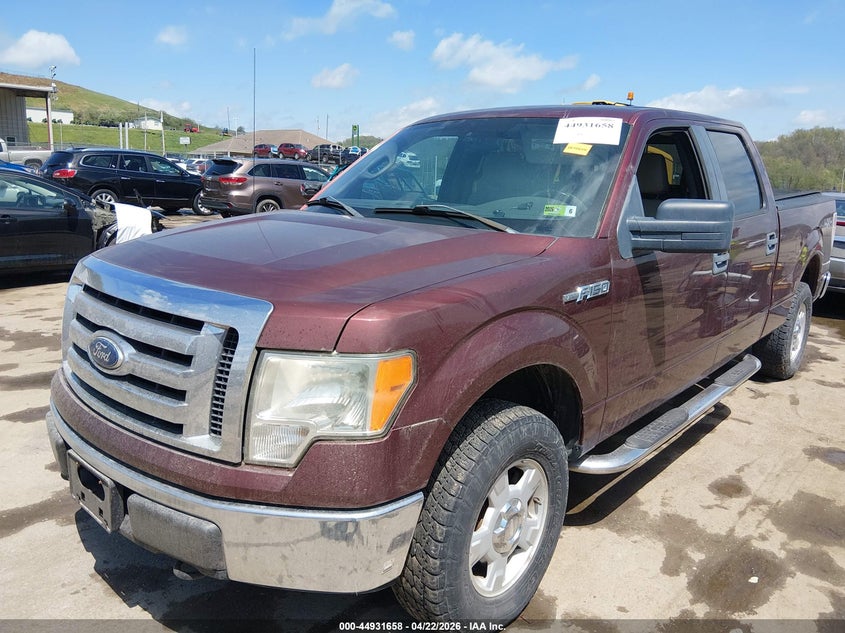 2010 Ford F-150 Xl/Xlt