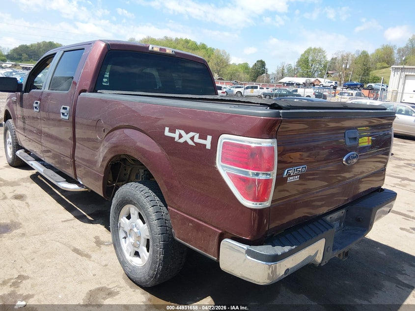 2010 Ford F-150 Xl/Xlt