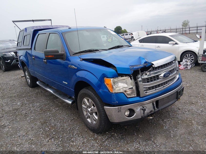 2013 FORD F-150 XLT