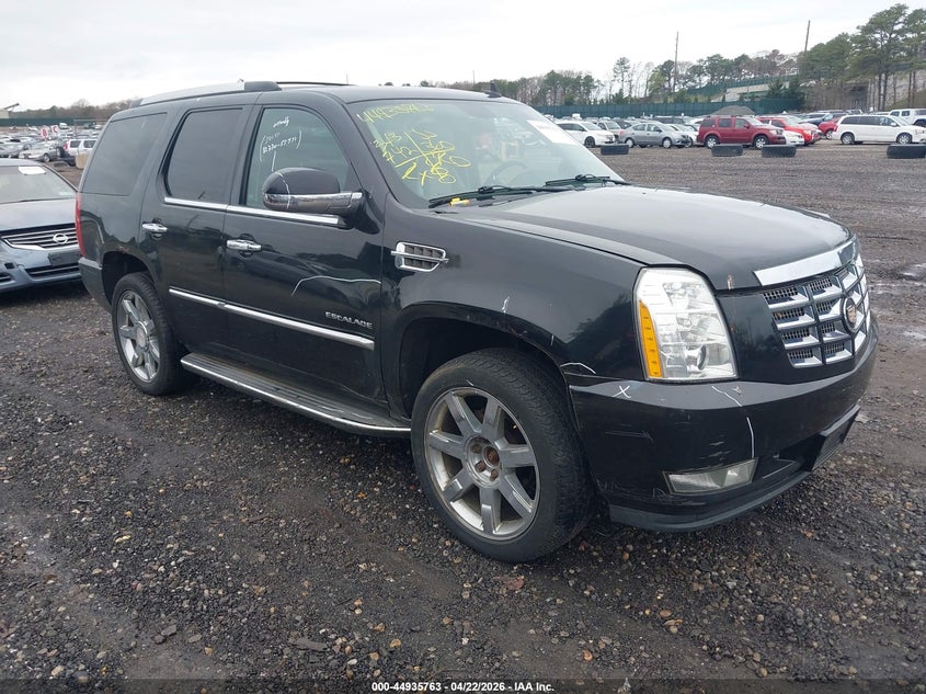 2010 Cadillac Escalade Luxury