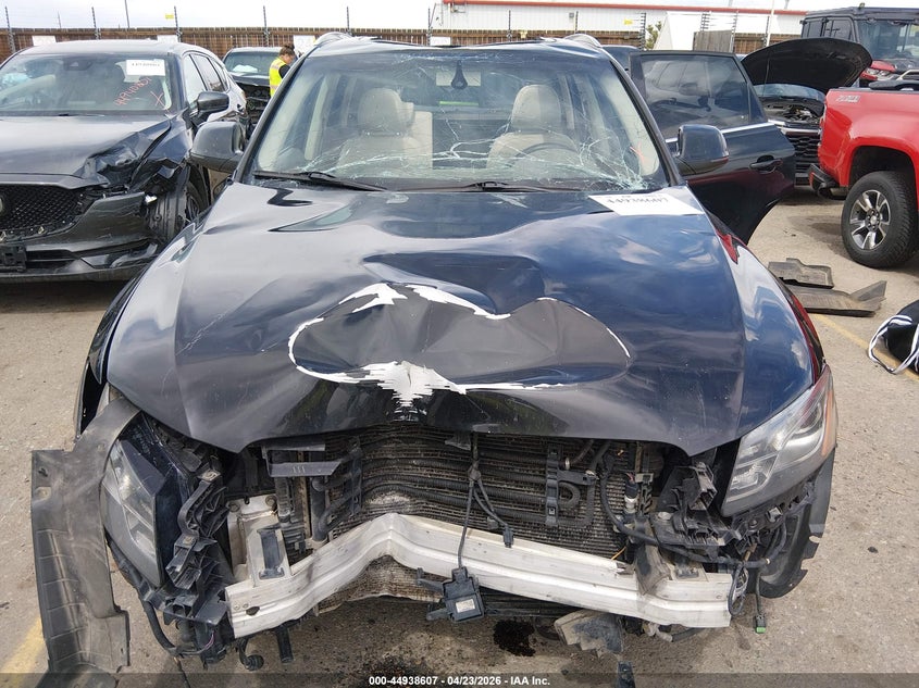 2009 Audi Q5 3.2 Premium VIN: WA1KK78R59A024598 Lot: 44938607