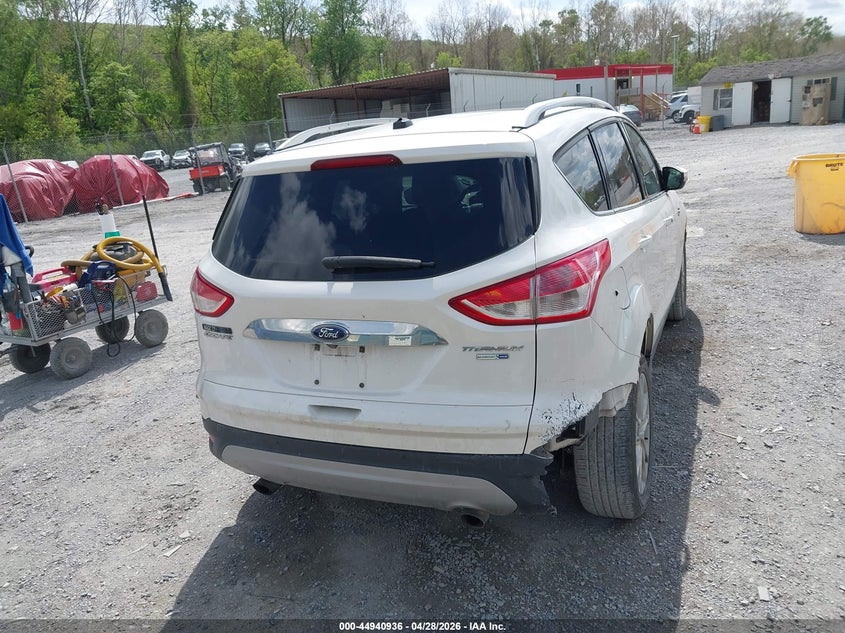 AtlanticExpress - Ford Escape