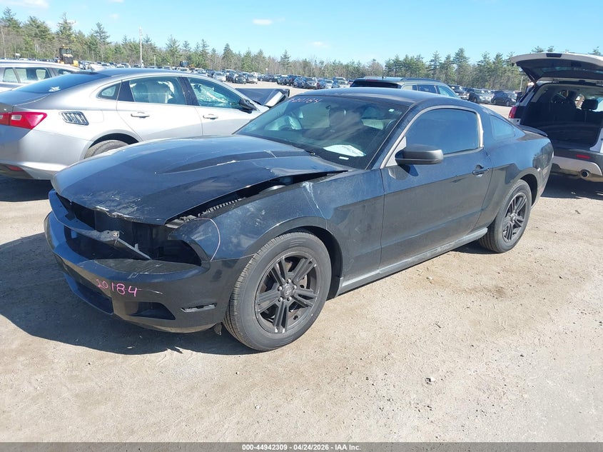 2012 Ford Mustang 3.7 V6 black Lot 111044942309 Vin 1ZVBP8AM7C5276720