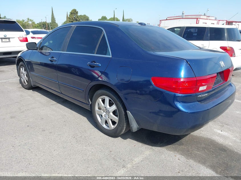 AtlanticExpress - Honda Accord