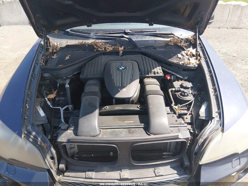 BMW X5 2008 VIN 5UXFE83518L165114
