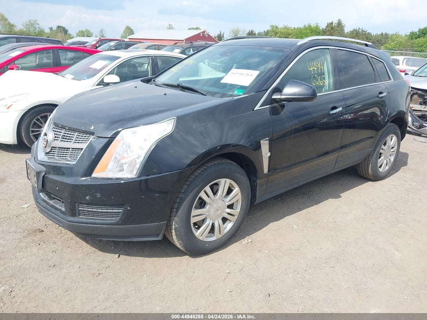 2010 Cadillac Srx Luxury Collection 3GYFNDEY5AS508731 photo 1