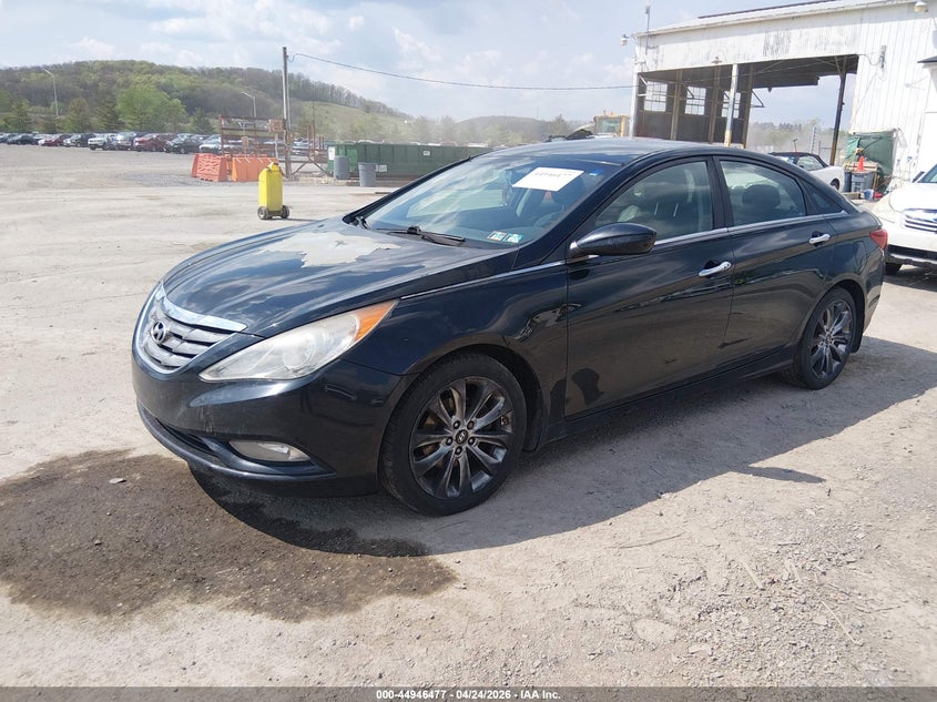 AtlanticExpress - Hyundai Sonata