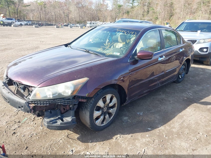 2010 Honda Accord 3.5 Ex-L