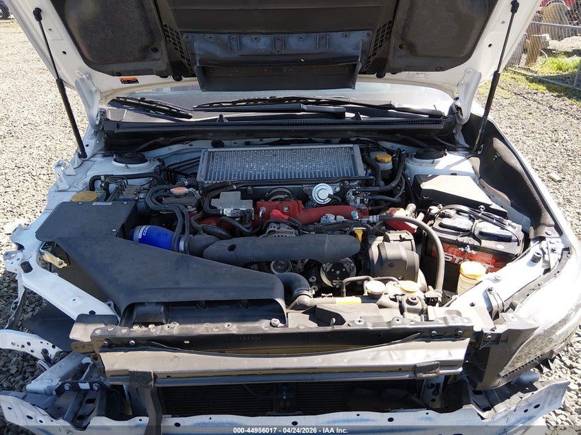 VIN JF1VA2S61K9801976 2019 SUBARU WRX STI