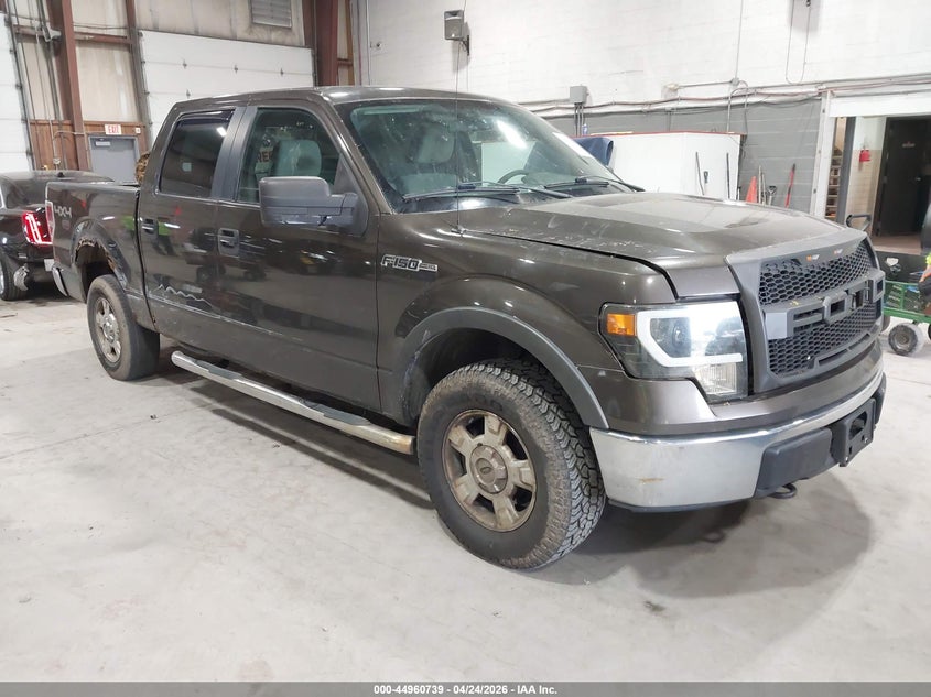 2009 Ford F-150 Fx4/King Ranch/Lariat/Platinum/Xl/Xlt