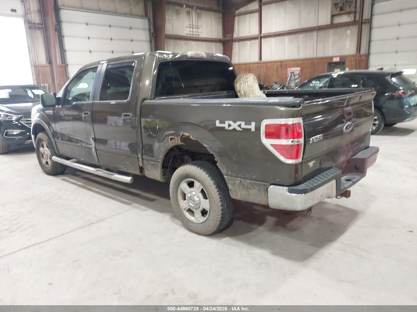 2009 Ford F-150 Fx4/King Ranch/Lariat/Platinum/Xl/Xlt