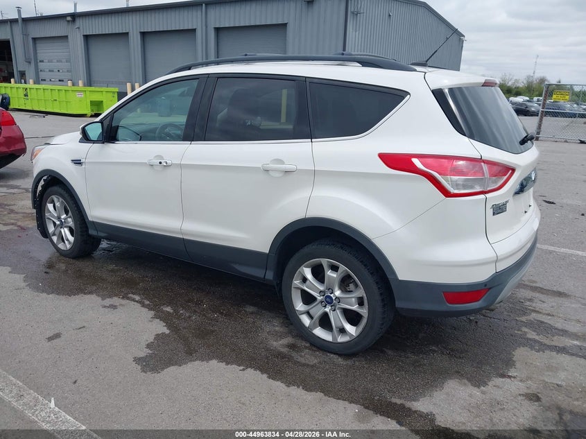 AtlanticExpress - Ford Escape