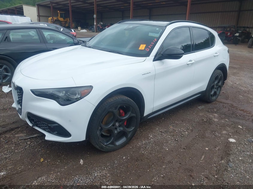 2024 ALFA ROMEO STELVIO auction photo 2