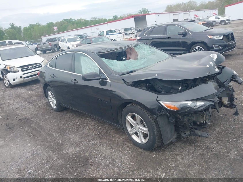 2019 CHEVROLET MALIBU 1FL