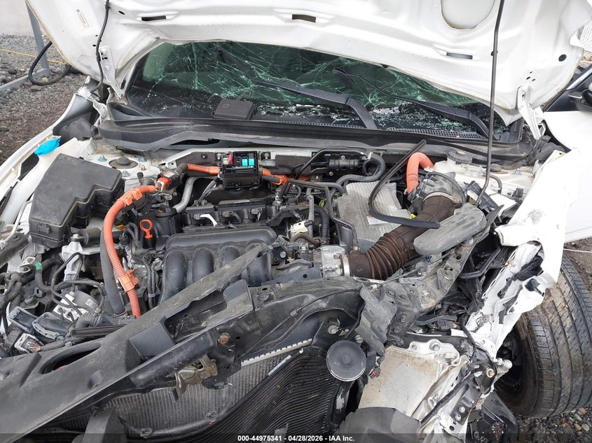 HONDA INSIGHT 2019 VIN 19XZE4F93KE002647