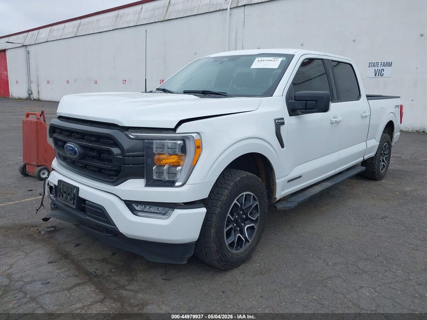 Vin: 1ftfw1ed2pfb39385, lot: 45477361, ford f-150 xlt 20232