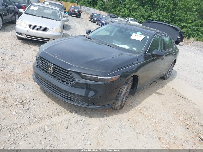 Vin: 1hgcy1f38ra020972, lot: 45478630, honda accord ex 20242