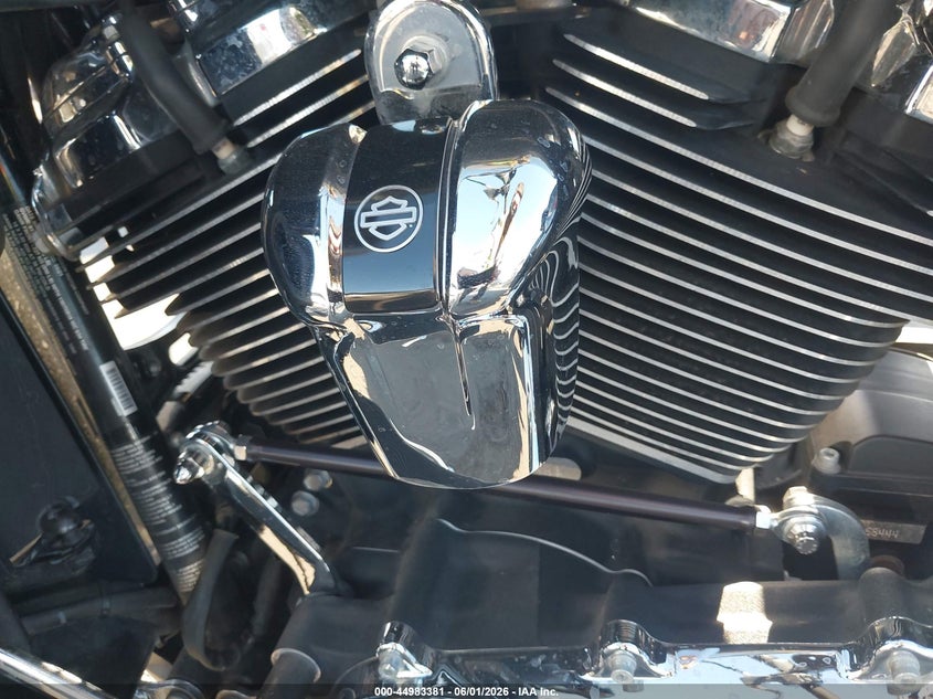 2021 Harley-Davidson Fltrk VIN: 1HD1KZF10MB637238 Lot: 44983381