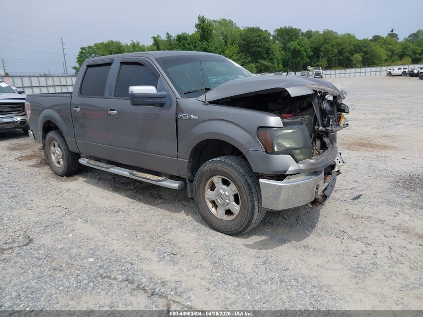 2010 FORD F-150 FX2 SPORT/HARLEY-DAVIDSON/KING RANCH/LARIAT/PLATINUM/XL/XLT