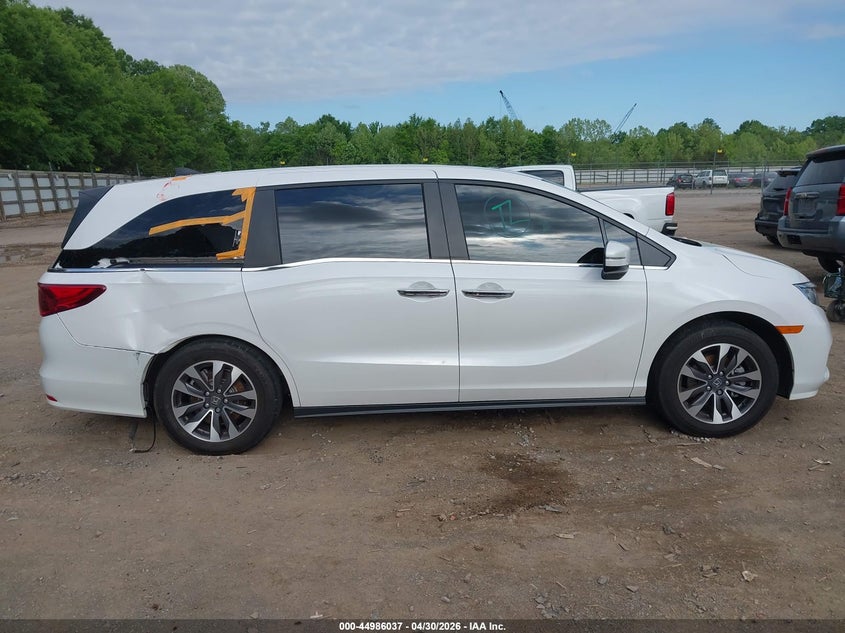VIN 5FNRL6H62RB068146 2024 HONDA ODYSSEY EX-L