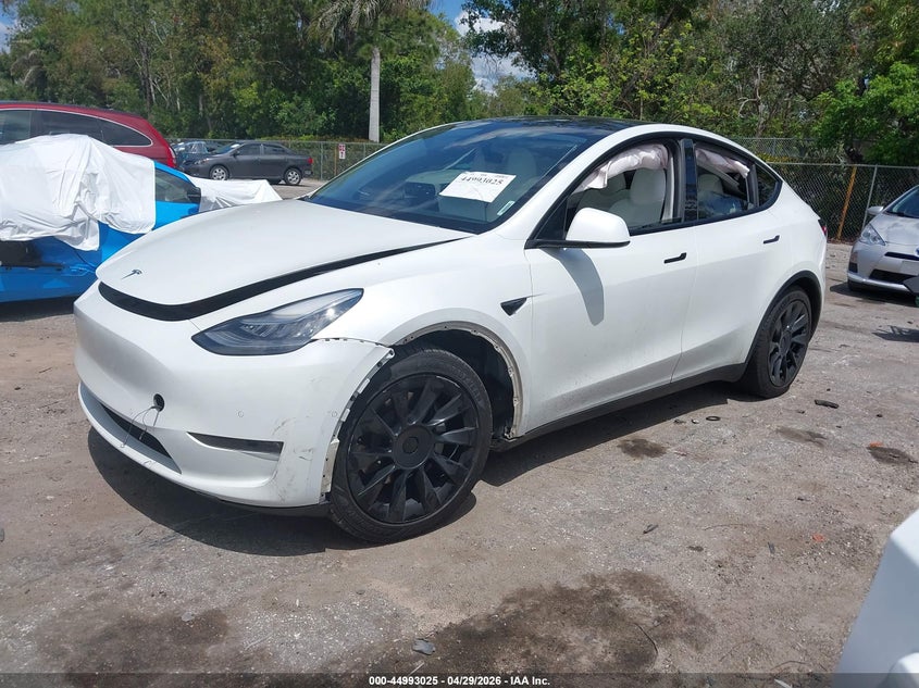 Vin: 5yjygdee9mf108764, lot: 45490466, tesla model y long range dual motor all-wheel drive 20212