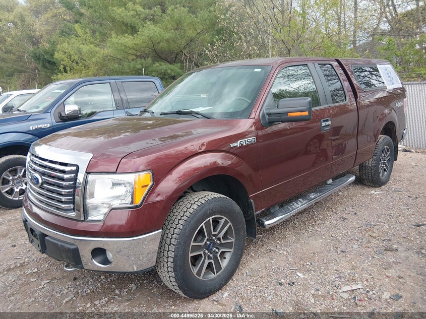 1FTFX1EV0AFD52073 2010 FORD F-150 FX4/LARIAT/XL/XLT photo 1