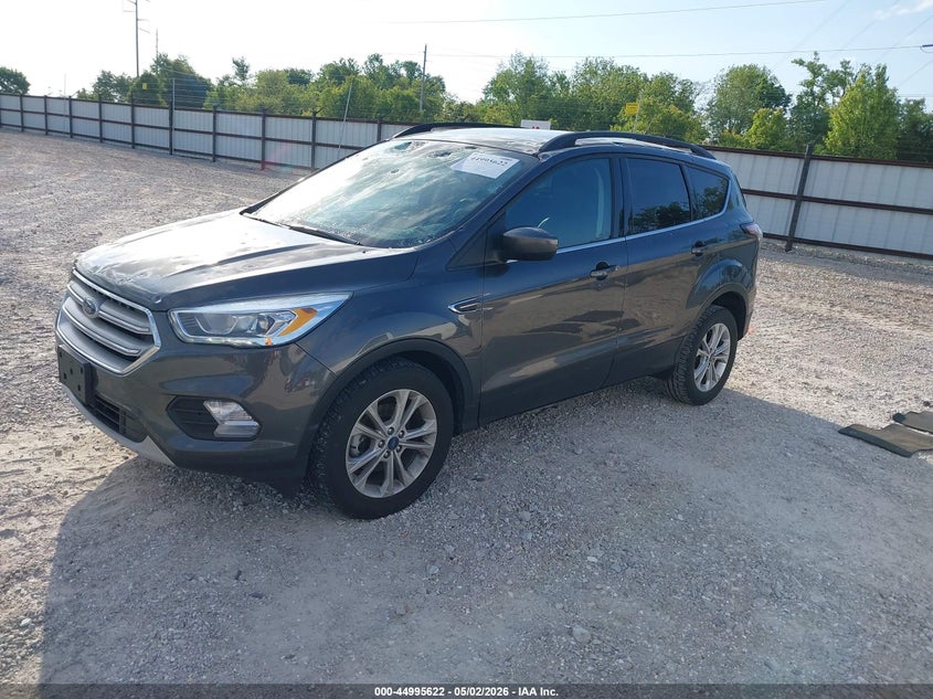 AtlanticExpress - Ford Escape