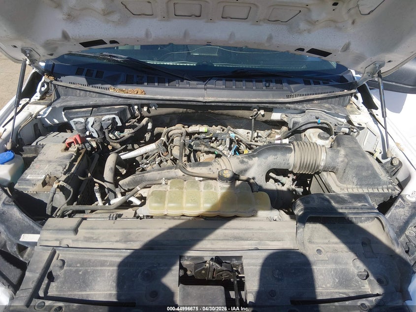 VIN 1FTEX1EP8LKE06954 2020 FORD F-150 XL