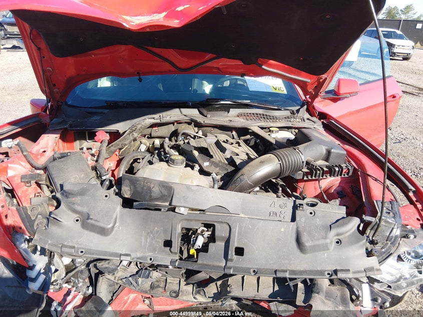 AtlanticExpress - Ford Mustang