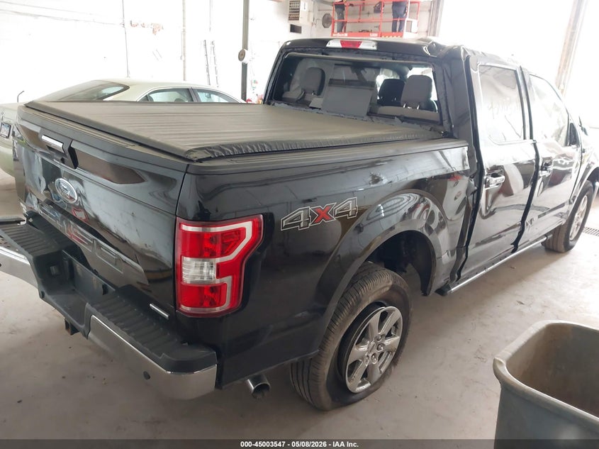 Vin: 1ftew1e40lfb15818, lot: 45501013, ford f-150 xlt 20204