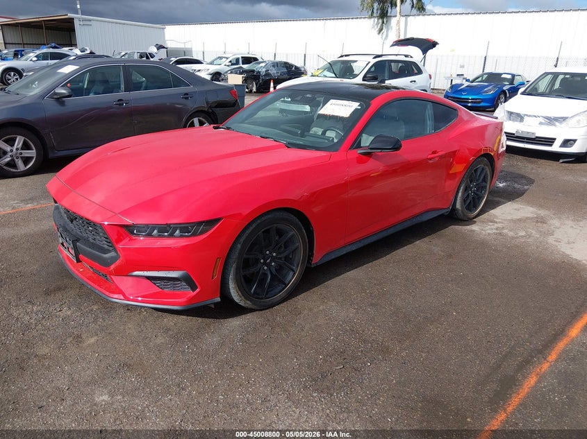 2024 Ford Mustang Ecoboost Fastback 1FA6P8THXR5138088 photo 1
