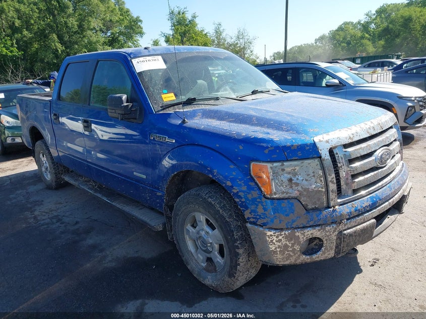 Vin: 1ftfw1et6bfc14962, lot: 45507785, ford f-150 xlt 2011 img_1