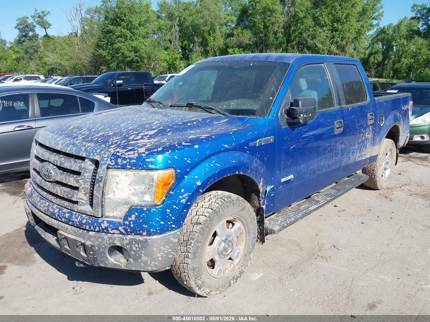 2011 FORD F-150 auction photo 2