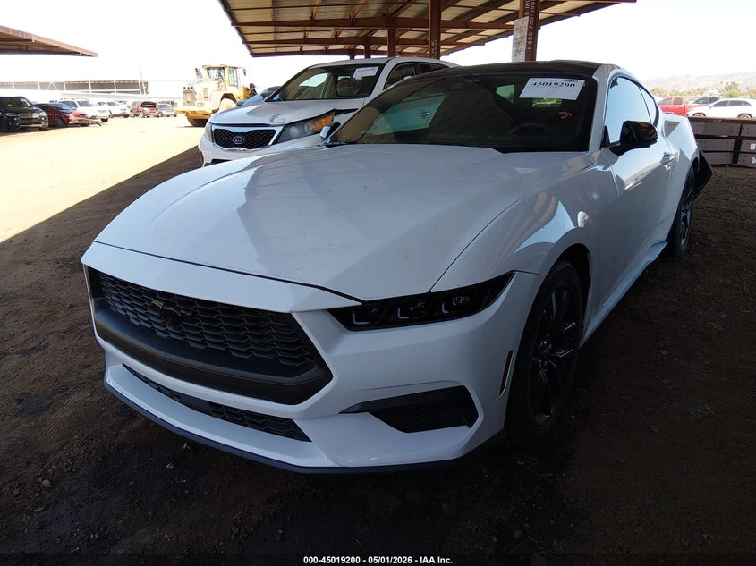 2024 Ford Mustang Ecoboost Fastback 1FA6P8TH7R5131793 photo 1