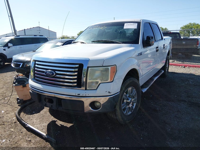 Vin: 1ftfw1ev2afd12077, lot: 45517981, ford f-150 fx4/harley-davidson/king ranch/lariat/platinum/xl/xlt 20102