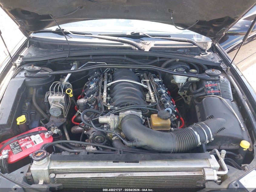 2006 Pontiac Gto VIN: 6G2VX12U26L568305 Lot: 45021727