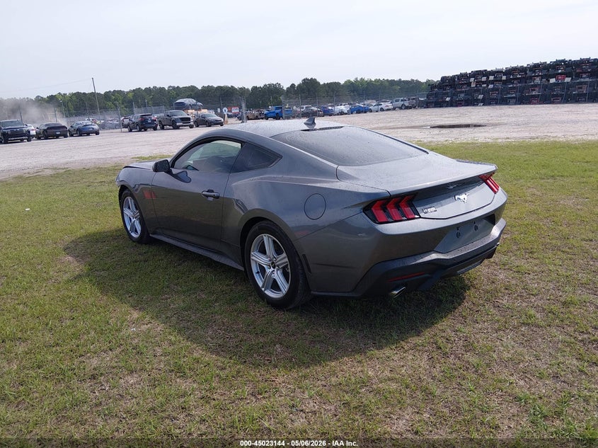 AtlanticExpress - Ford Mustang