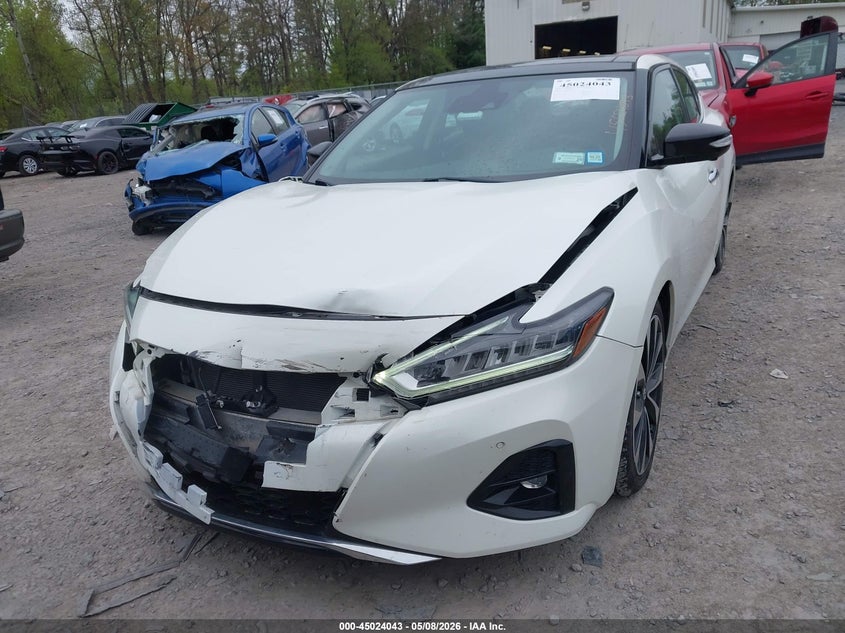 VIN 1N4AA6AV5KC365571 2019 NISSAN MAXIMA 3.5 PLATINUM/3.5 S/3.5 SL/3.5 SR/3.5 SV