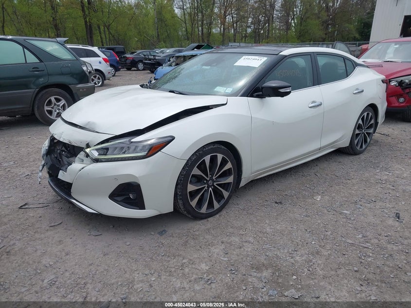 VIN 1N4AA6AV5KC365571 2019 NISSAN MAXIMA 3.5 PLATINUM/3.5 S/3.5 SL/3.5 SR/3.5 SV