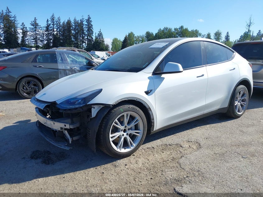 2024 TESLA MODEL Y(VIN: 7SAYGDED1RF055625