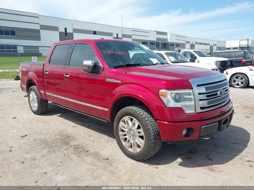 2014 Ford Platinum