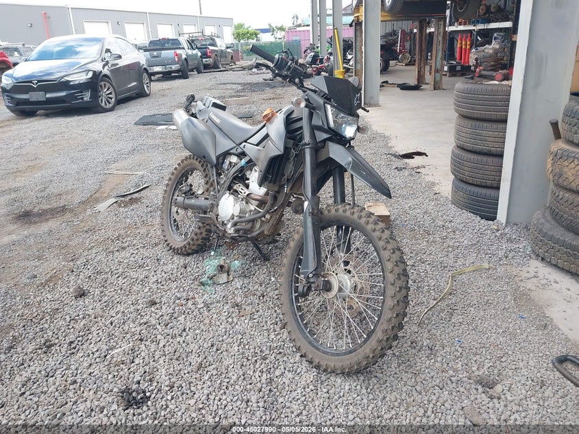 2021 Kawasaki KLX300
