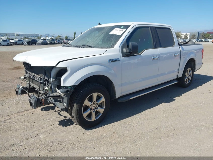 Vin: 1ftew1cb7kkd52569, lot: 45527402, ford f-150 xlt 20192