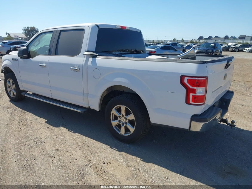 Vin: 1ftew1cb7kkd52569, lot: 45527402, ford f-150 xlt 20193