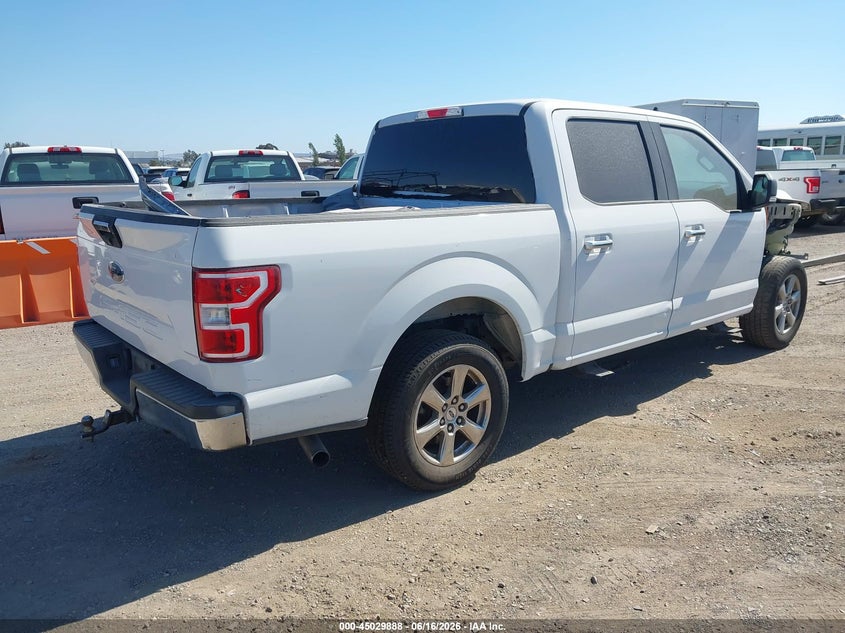 Vin: 1ftew1cb7kkd52569, lot: 45527402, ford f-150 xlt 20194