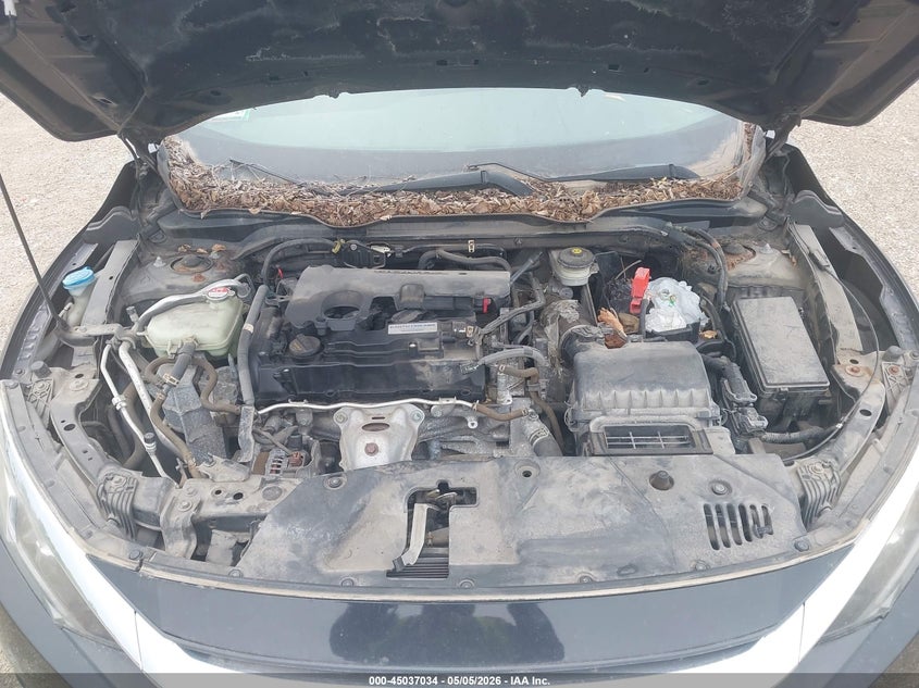 VIN 2HGFC4B05HH301877 2017 HONDA CIVIC LX-P
