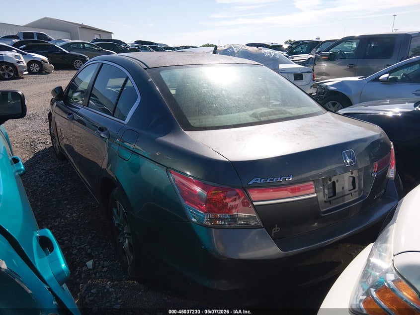 AtlanticExpress - Honda Accord
