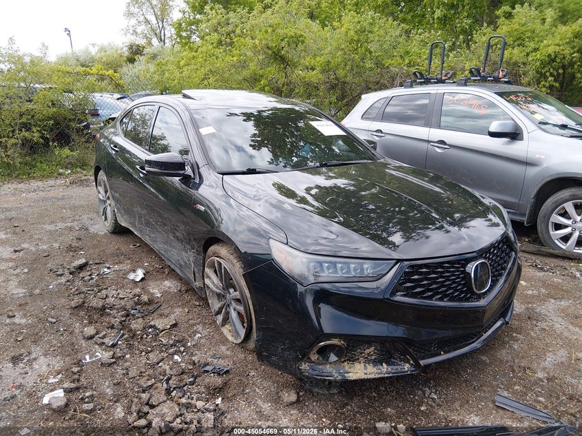 2019 Acura TLX